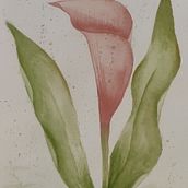 Cala. Watercolor Painting project by verosfera - 06.03.2023