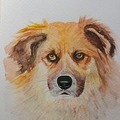 Mi proyecto del curso: Retratos expresivos de animales en acuarela. Un proyecto de Ilustración tradicional, Pintura a la acuarela, Dibujo realista e Ilustración naturalista				 de chotepinta - 03.06.2023