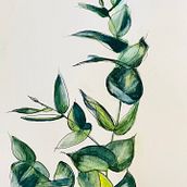 Eucalyptus . Traditional illustration project by Patty - 06.03.2023