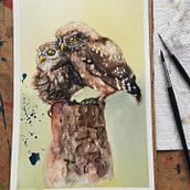 My project for course: Artistic Watercolor Techniques for Illustrating Birds. Traditional illustration, Watercolor Painting, Realistic Drawing, and Naturalistic Illustration project by Ann - 04.30.2024