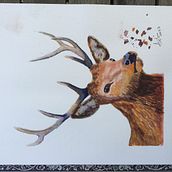 My project for course: Expressive Animal Portraits in Watercolor. Traditional illustration, Watercolor Painting, Realistic Drawing, and Naturalistic Illustration project by tony.mitchell - 06.04.2023