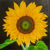 Girasol. Traditional illustration, Fine Arts, and Oil Painting project by Aura Aura - 06.08.2023