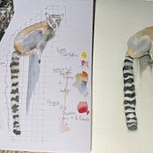 My project for course: Expressive Animal Portraits in Watercolor. Un progetto di Illustrazione tradizionale, Pittura ad acquerello, Disegno realistico e Illustrazione naturalistica di Gillie Matthew - 08.06.2023