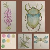 Mi proyecto del curso: Dibujo y composición naturalista en acuarela. Un progetto di Illustrazione tradizionale, Disegno, Pittura ad acquerello e Illustrazione naturalistica di jemayaguilar22 - 08.06.2023