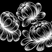 Florals Ein Projekt aus dem Bereich Traditionelle Illustration von Jill Savory - 09.06.2023