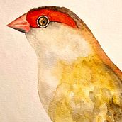 My project for course: Artistic Watercolor Techniques for Illustrating Birds. Traditional illustration, Watercolor Painting, Realistic Drawing, and Naturalistic Illustration project by wren1979 - 06.09.2023