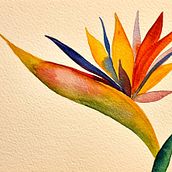 My project for course: Botanical Illustration with Watercolors. Traditional illustration, Fine Arts, Painting, Drawing, Watercolor Painting, and Botanical Illustration project by wren1979 - 06.09.2023