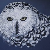 Study for inner spirit of Snowy Owl: Human eyes contained in Owl persona.. Traditional illustration, Fine Arts, Creativit, Pencil Drawing, Drawing, and Artistic Drawing project by winsome - 06.10.2023