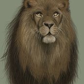 Lion of Judah . Traditional illustration project by Melissa Clark - 06.11.2023
