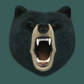 Black Bear . Traditional illustration project by Melissa Clark - 06.11.2023