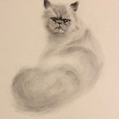 My project for course: Expressive Drawing with Charcoal. Fine Arts, Drawing, Portrait Drawing, and Naturalistic Illustration project by kausarnabi - 06.10.2023