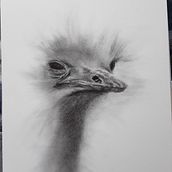 Expressive Drawing with Charcoal. Desenho projeto de Sue Sumner - 11.06.2023