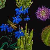 Mein Abschlussprojekt für den Kurs: Botanisches Zeichenheft: ein meditativer Ansatz. Een project van Traditionele illustratie,  Schetsen,  Tekening, Aquarelschilderen,  Botanische illustratie y Sketchbook van Monika Dlugosch - 13.06.2023
