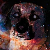 Mi proyecto del curso: Diseño de bandas sonoras de videojuegos para principiantes Ein Projekt aus dem Bereich Musik, Videospiele, Videospielentwicklung und Musikproduktion von Tián Ciccone Minogue - 14.06.2023