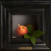 Chiocciolina . Photograph project by gianna Filetti - 03.11.2024