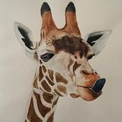 Final project piece. Traditional illustration project by jhevans2831 - 06.16.2023