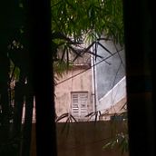 Story telling for Conservation : Window with a view. Writing, Stor, telling, Narrative, Creative Writing, and Creativit project by Neeta Das - 06.13.2023