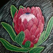 Cape Town Inspirations . Un projet de Illustration traditionnelle de Daleen Venter - 18.06.2023