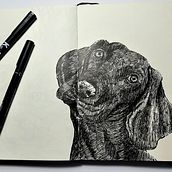 Mi proyecto del curso: Técnicas de dibujo con @alvarejo . Menggambar, Buku sketsa & Ilustrasi Tinta proyek oleh Anais García Burgos - 05.18.2023