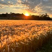 Natura🏞. Projekt z dziedziny Fotografia użytkownika Marlena Zduńczuk - 03.07.2023