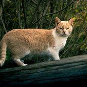 Il mio progetto del corso: Fotografia di paesaggi e natura. Photograph, Outdoor Photograph, Instagram Photograph, Documentar, Photograph, and Photographic Composition project by Domenico Litrico - 06.21.2023
