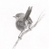 My project for course: Expressive Drawing with Charcoal. Un progetto di Belle arti, Disegno, Disegno di ritratti e Illustrazione naturalistica di anne_babington - 21.06.2023