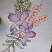 Il mio progetto del corso: Tecniche artistiche per l'illustrazione naturalistica. Un proyecto de Ilustración tradicional, Pintura a la acuarela, Pintura acrílica, Ilustración botánica, Ilustración con tinta y Dibujo con lápices de colores de Daniela Zaccheddu - 22.06.2023