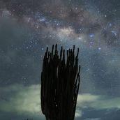 Mi proyecto del curso: Introducción a la astrofotografía. Un proyecto de Fotografía y Fotografía en exteriores de María Fernanda Martínez Amaya - 17.06.2023
