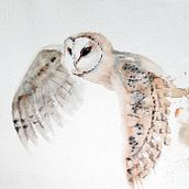 Mi proyecto del curso: Acuarela naturalista con expresión y personalidad. Watercolor Painting, Naturalistic Illustration, and Traditional illustration project by Romina Ojeda - 06.23.2023