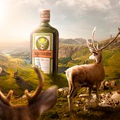 My project for course: Surrealistic Photomontage with Photoshop. Photograph, Post-production, Photo Retouching, Digital Photograph, Photographic Composition, and Photomontage project by leonelemilio33 - 06.24.2023