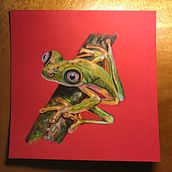 Especies en peligro de extinción (Lemur Leaf frog) paso a paso. Colored Pencil Drawing project by Laura Ramírez González - 06.24.2023