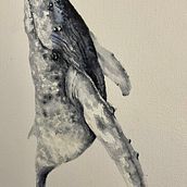 Mi proyecto del curso: Técnicas de ilustración naturalista: ballenas en acuarela. Un progetto di Belle arti, Pittura, Pittura ad acquerello e Illustrazione naturalistica di grafjaviera - 19.06.2023