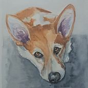 My project for course: Expressive Animal Portraits in Watercolor. Un proyecto de Ilustración tradicional, Pintura a la acuarela, Dibujo realista e Ilustración naturalista				 de darylwest1 - 25.06.2023