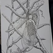 Mi proyecto del curso: Ilustración surrealista con rotuladores. Traditional illustration, Pencil Drawing, Drawing, Artistic Drawing, Ink Illustration, and Realistic Drawing project by Maria Yolanda Nuñez Medina - 06.18.2023