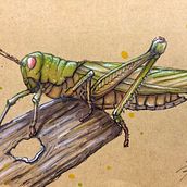 My project for course: Daily Sketching for Creative Inspiration. Traditional illustration, Sketching, Creativit, Drawing, and Sketchbook project by Alex Poon - 06.21.2023