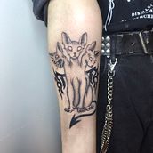Mój projekt z kursu: Projektowanie i rysowanie tatuaży „blackwork” od podstaw. Un progetto di Illustrazione tradizionale, Disegno, Illustrazione digitale, Design di tatuaggi e Disegno digitale di Piotr Brodzki - 04.03.2022