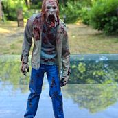 Walking dead. Un proyecto de Cine, vídeo y televisión de Daisy Murillo - 27.06.2023