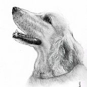 My project for course: Animal Illustration with Charcoal and Ink. Fine Arts, Drawing, Ink Illustration, and Naturalistic Illustration project by Maria Paula Rico - 06.28.2023
