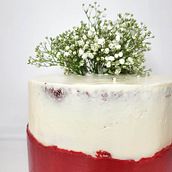 Mi proyecto del curso: Cake design: técnicas decorativas modernas. Un proyecto de Diseño y DIY de Vanessa Tellez - 29.06.2023