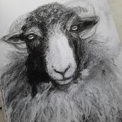My project for course: Animal Illustration with Charcoal and Ink. Fine Arts, Drawing, Ink Illustration, and Naturalistic Illustration project by eluned_eleven - 06.30.2023