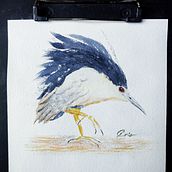Meu projeto do curso: Aquarela naturalista com expressão e personalidade. Un proyecto de Ilustración tradicional, Pintura a la acuarela e Ilustración naturalista				 de Cristina Coltro - 27.06.2023