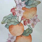 Mi proyecto del curso: Técnicas artísticas para ilustración naturalista . Een project van Traditionele illustratie, Aquarelschilderen,  Acr, lschilderij,  Botanische illustratie,  Illustratie met inkt y Tekenen met kleurpotloden van Tania Rojas - 01.07.2023