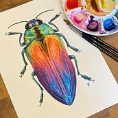Jewel Beetle Watercolour (w/process). Watercolor Painting, Traditional illustration, Painting, Naturalistic Illustration, and Fine Arts project by Lyndsay Stephenson - 07.01.2023