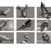 My project for course: Naturalist Animal Illustration with Procreate. Traditional illustration, Digital Illustration, Realistic Drawing, and Naturalistic Illustration project by MARIO GONZALEZ - 07.02.2023