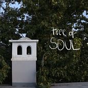 tree of my soul. Photograph, Digital Photograph, and Photographic Composition project by valeriafa8 - 07.17.2023