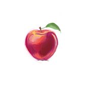 Apple drawing . Een project van Traditionele illustratie van Julia - 04.07.2023