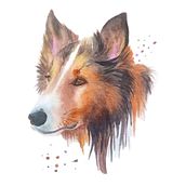 Mi proyecto: Retratos expresivos de animales en acuarela. Un progetto di Illustrazione tradizionale, Pittura ad acquerello, Disegno realistico e Illustrazione naturalistica di Giselle Martinez - 26.06.2023