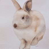 Il mio progetto del corso: Tecniche sperimentali di acquerello per principianti. Een project van Traditionele illustratie,  Beeldende kunst, Aquarelschilderen y Naturalistische illustratie van Olimpia Gentile - 05.07.2023