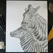 My project for course: Naturalistic Animal Drawing with Graphite Pencil. Projekt z dziedziny Trad, c, jna ilustracja, R, sunek ołówkiem,  R, sunek, Ilustracja naturalist i czna użytkownika Sandra Meyer - 05.07.2023