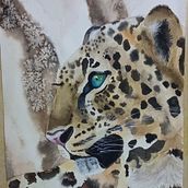 Mi proyecto del curso: Retratos expresivos de animales en acuarela. Traditional illustration, Watercolor Painting, Realistic Drawing, and Naturalistic Illustration project by Alejandra Rivera Silva - 07.04.2023